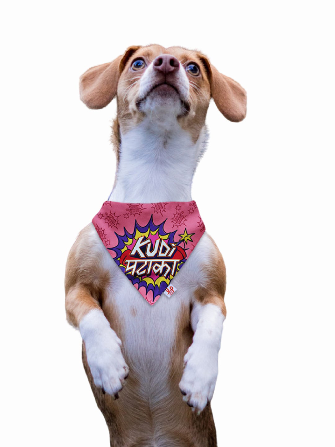 LANA PAWS Pink & Yellow Digitally Printed Dog Bandana