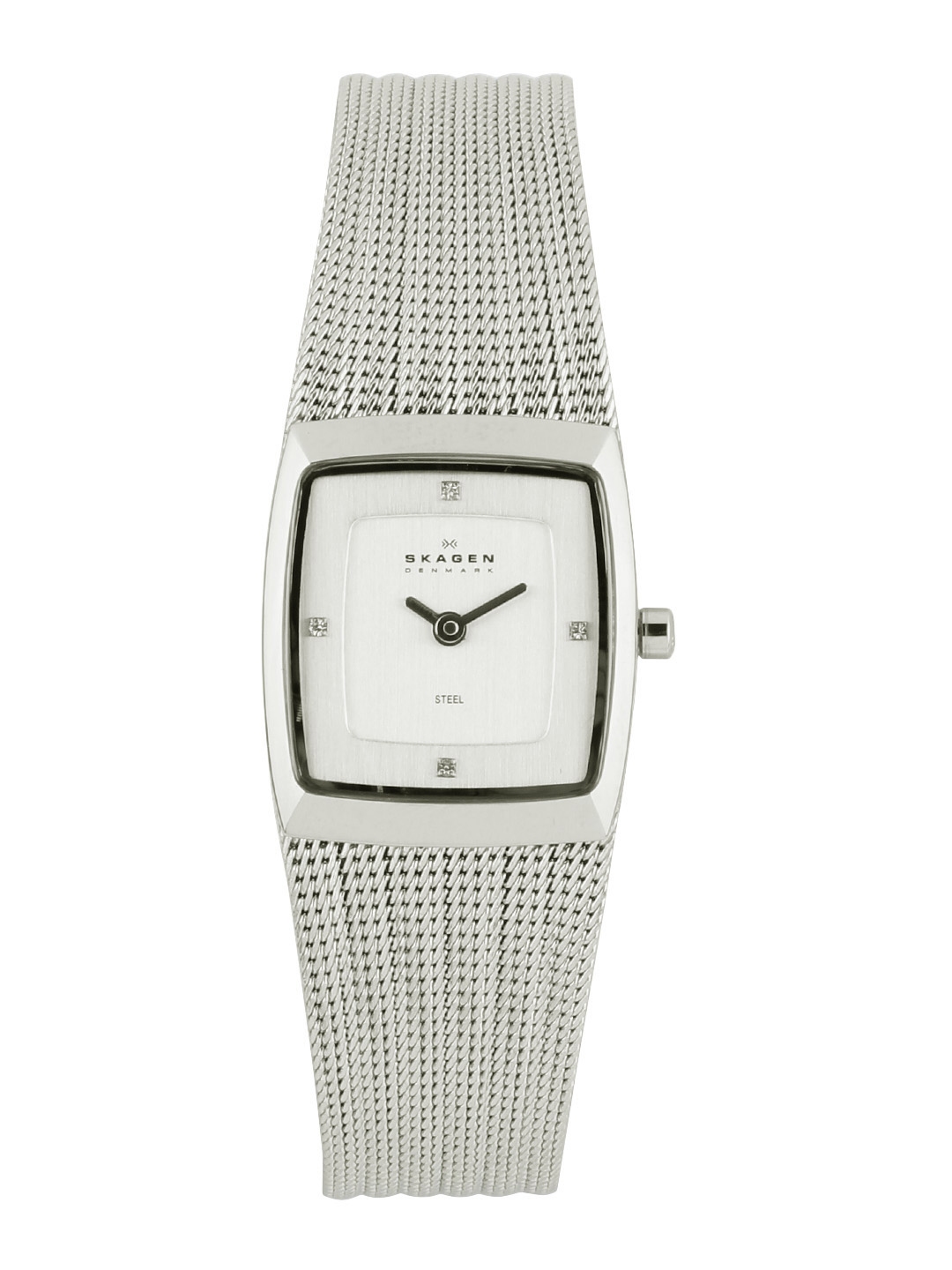 Skagen silver 2024 ladies watch