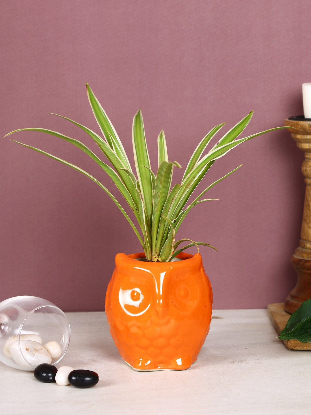 Aapno Rajasthan Orange Solid Owl Shaped Ceremic Planter