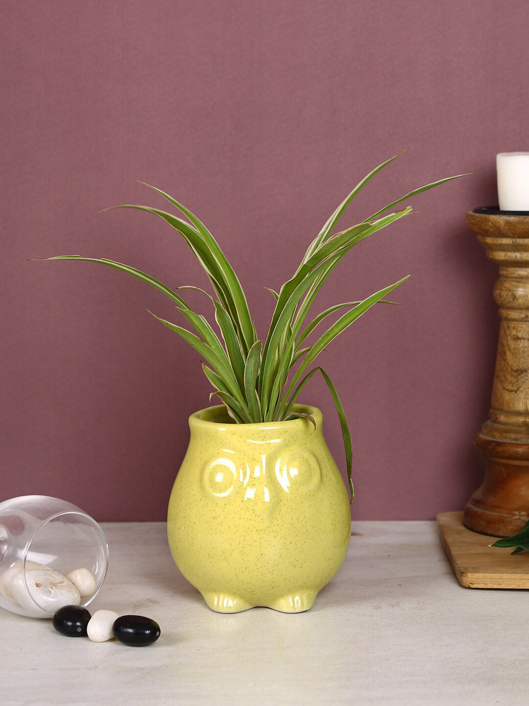 Aapno Rajasthan Yellow Solid Owl Shaped Planter