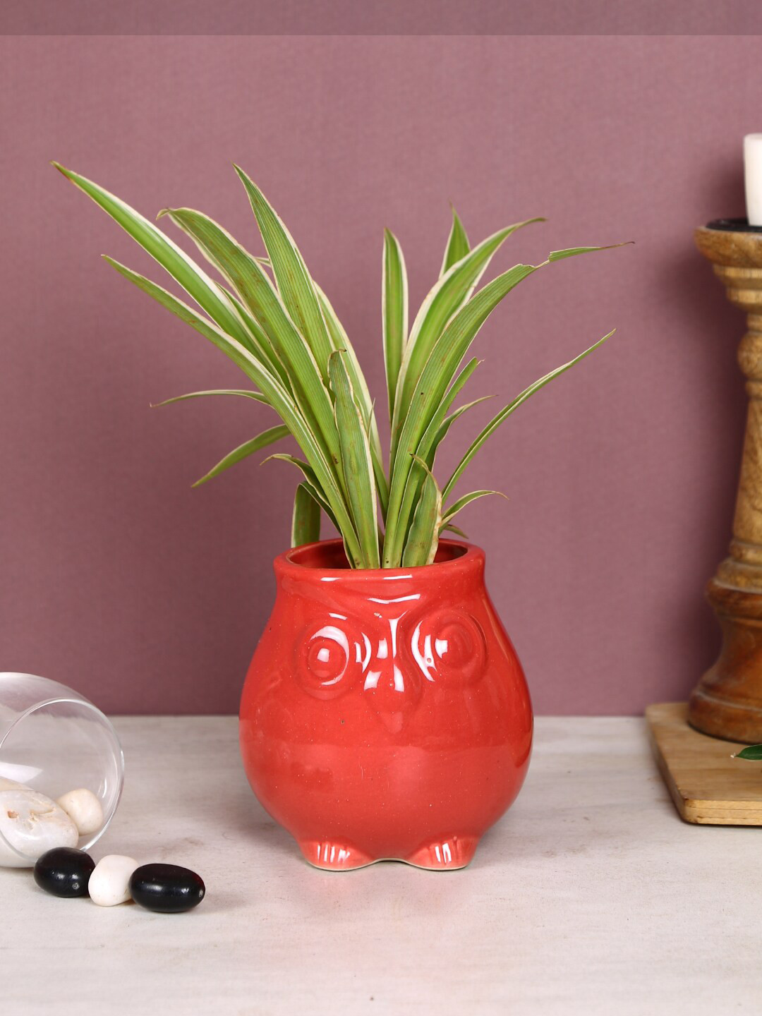 Aapno Rajasthan Red Solid Owl Shaped Ceramic Planter