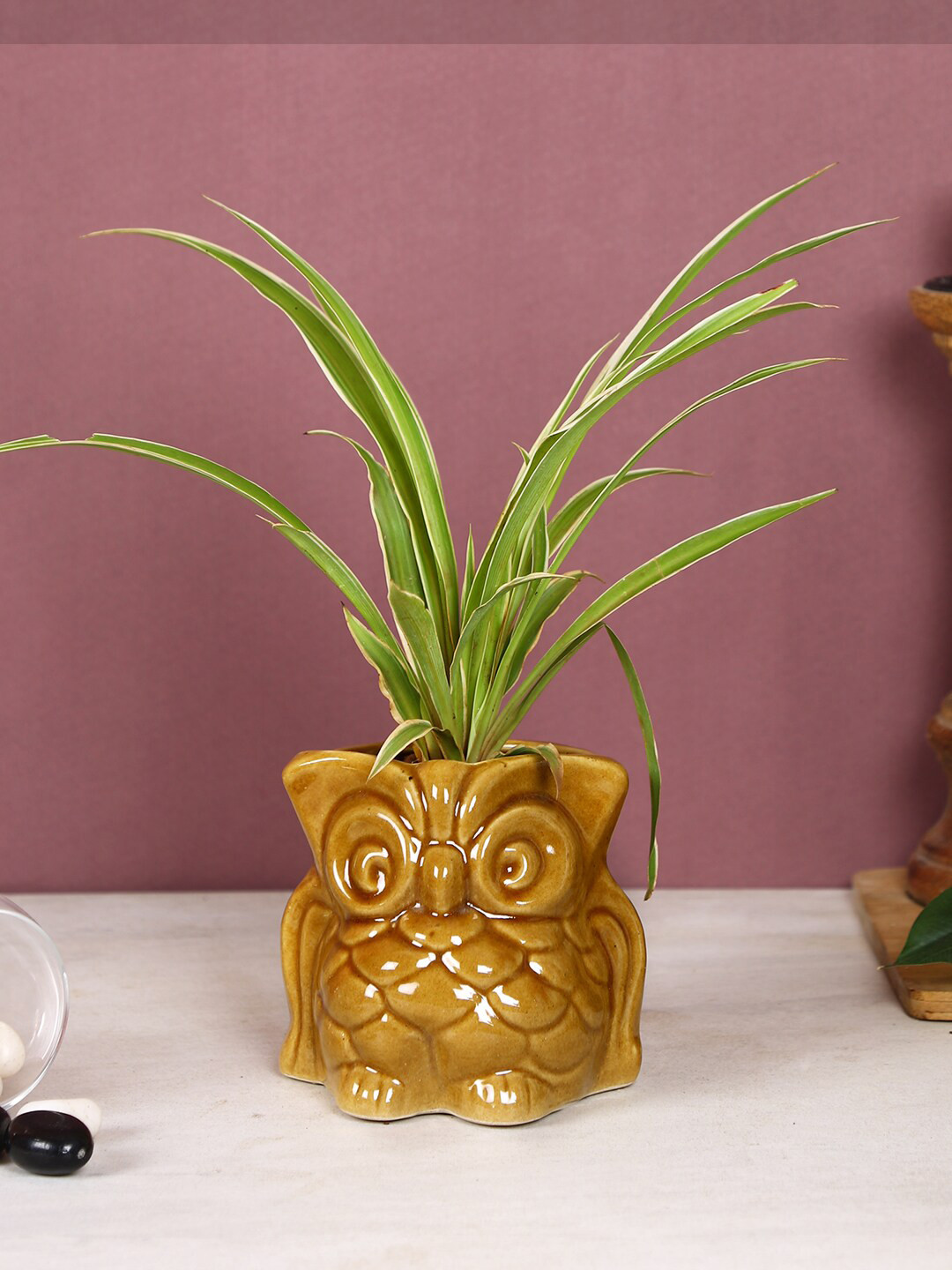 Aapno Rajasthan Brown Patterned Planter Pot