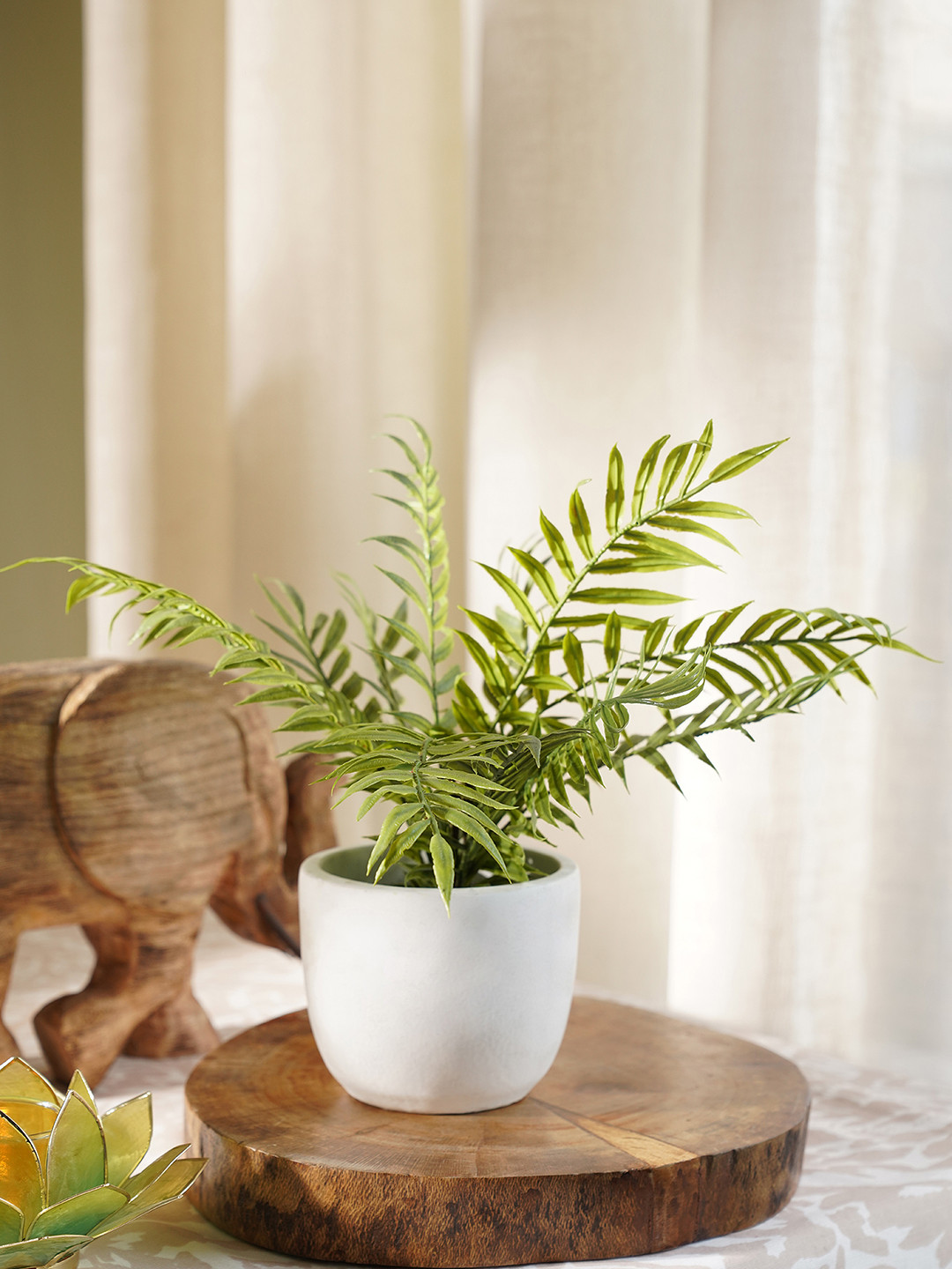 Pure Home and Living Green & White Boston Fern in Cement Pot