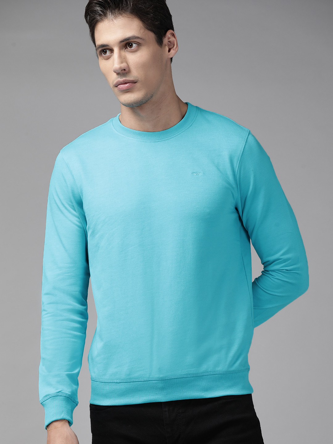 Park Avenue Men Blue Solid Sweatshirt