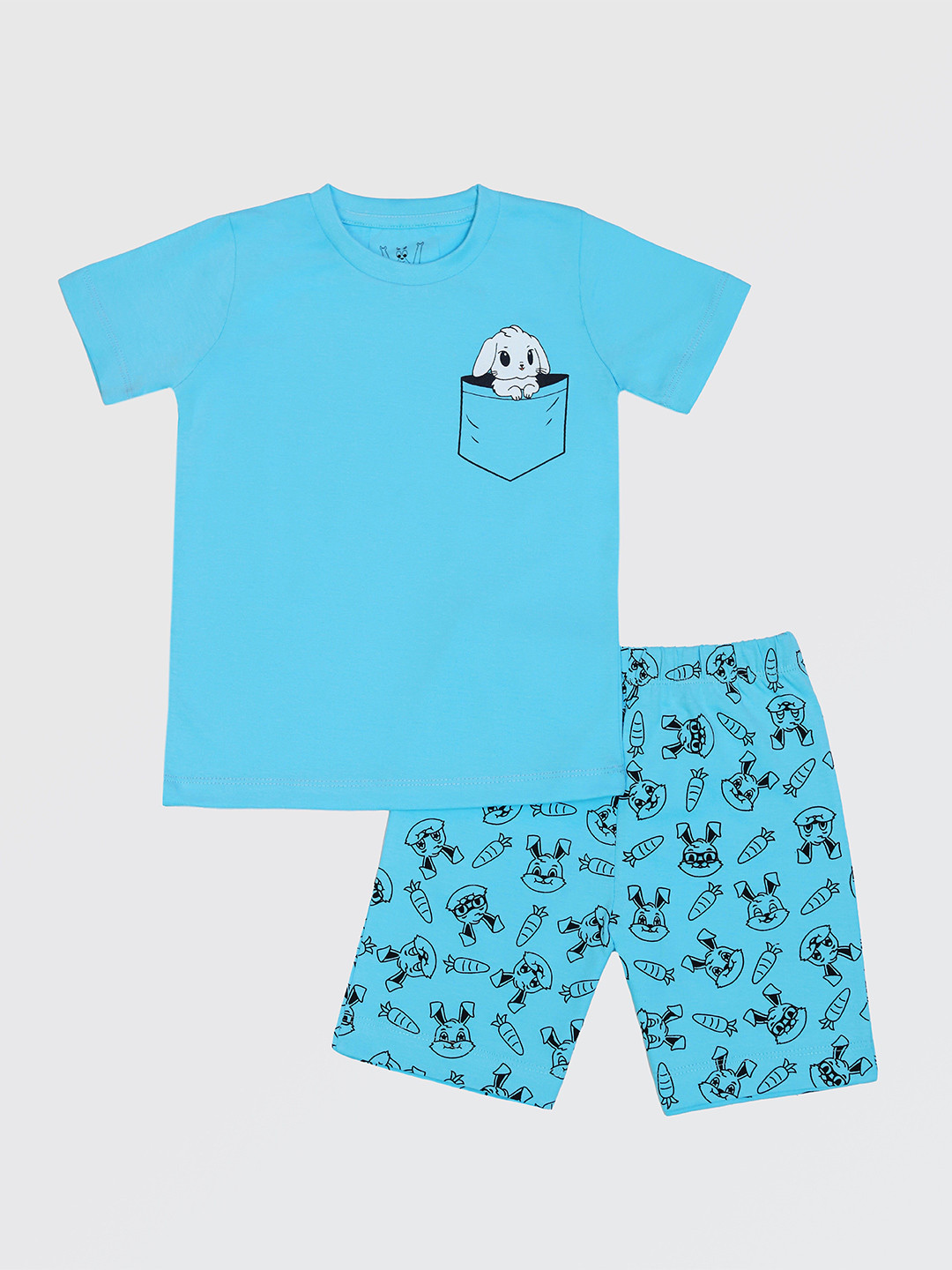 Wyld Sprog Boys Blue & Black Printed T-shirt with Shorts