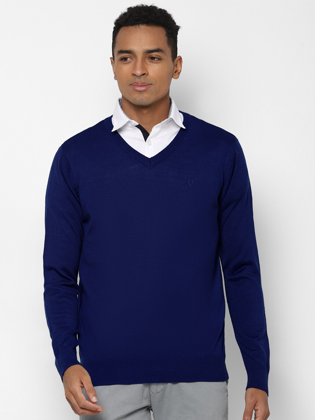 Allen Solly Men Blue Pullover