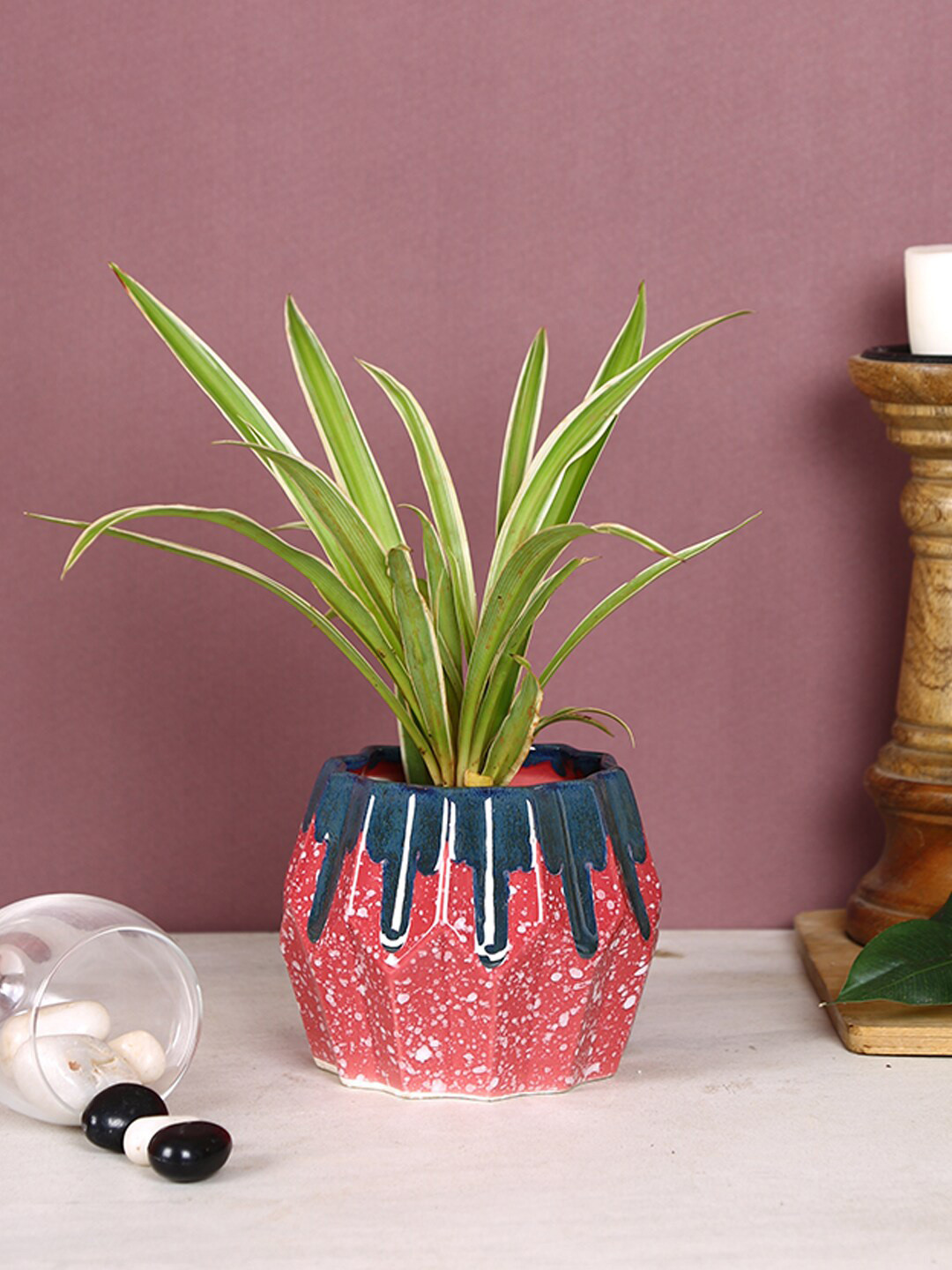 Aapno Rajasthan Pink & Blue Printed Planters