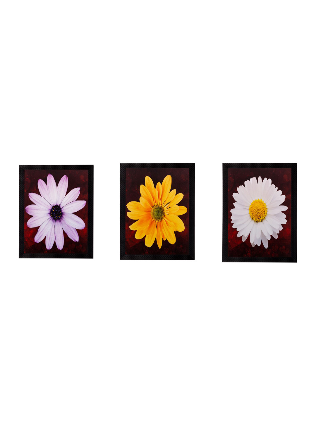 eCraftIndia Multicoloured Set of 3 Flowers UV Wall Art
