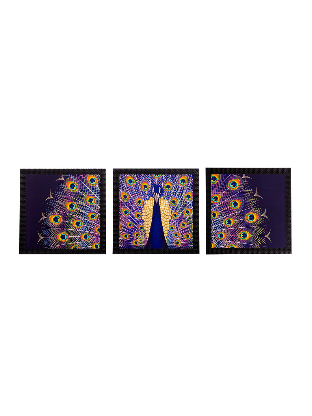 eCraftIndia Peocock Feather Synthetic Wood 3 Piece Wall Rectangle Paintings Wall Art