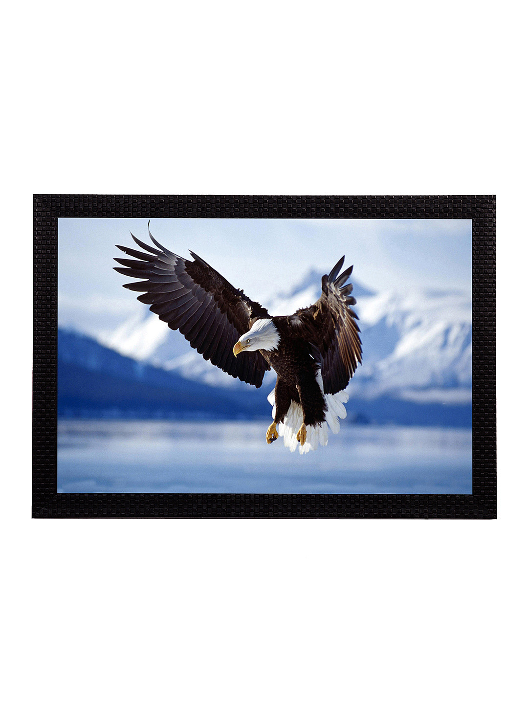 eCraftIndia Eagle Paper Wall Rectangle Paintings Wall Art -20x14In
