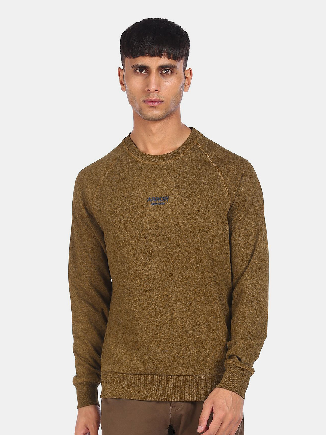 Arrow Sport Men Brown Logo Printed Sweatshirt