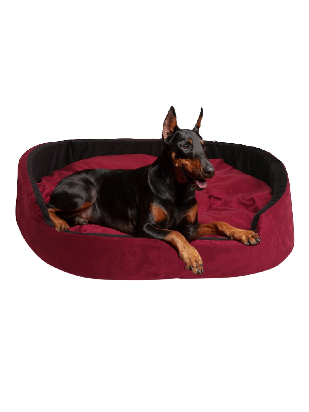 WIGGLE TWIDDLE Maroon   Black Solid Chew Resistant Pet Bed