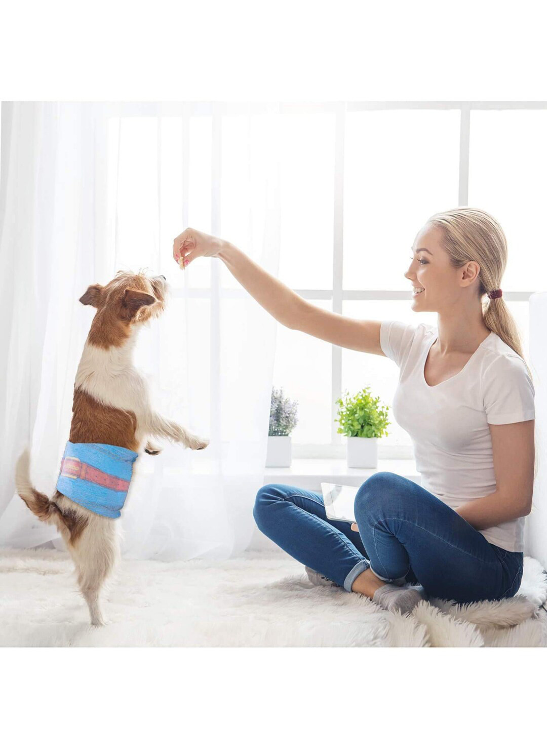 Emily pets White Leakproof & Scented Male Dog Diapers - 18 Pieces