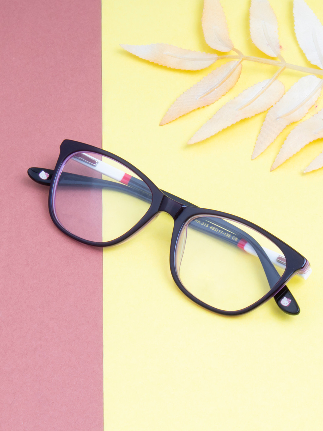 Ted Smith Women Purple & White Full Rim Cateye Frames Eyeglasses