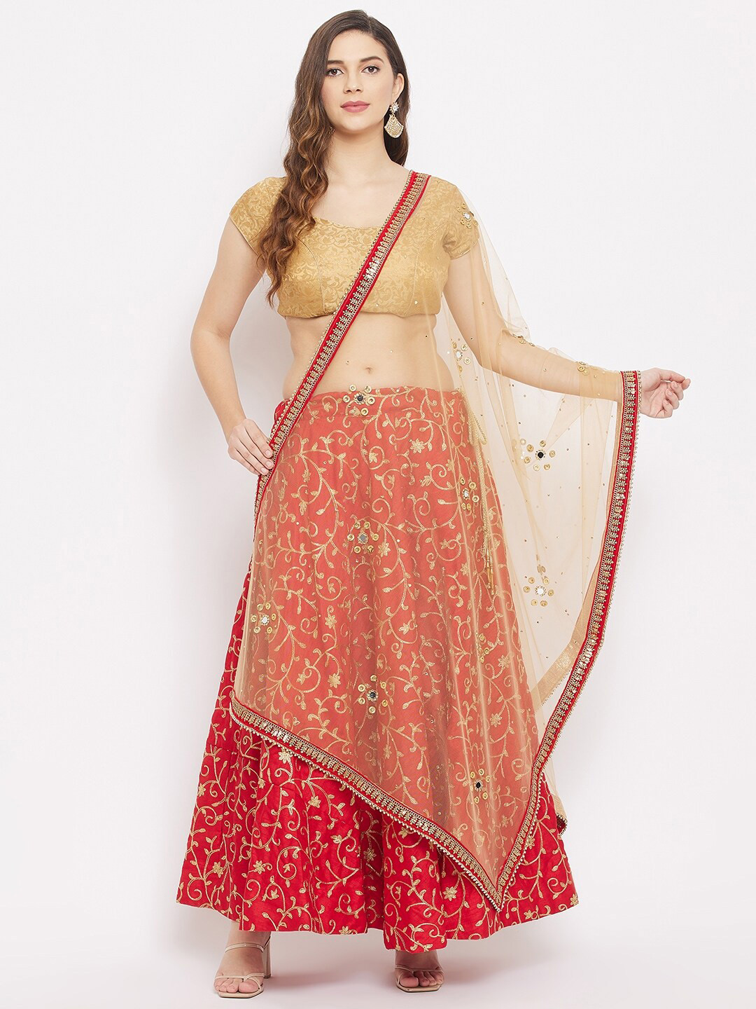 Clora Creation Beige Ethnic Motifs Embroidered Dupatta with Beads and Stones