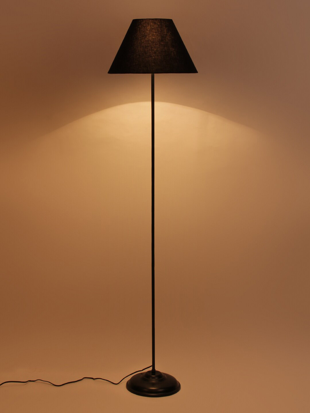 Devansh Black Floor Lamp
