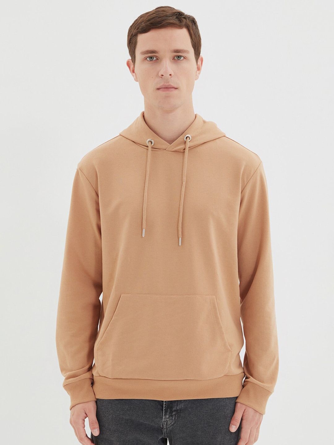 Trendyol Men Brown Sweatshirt