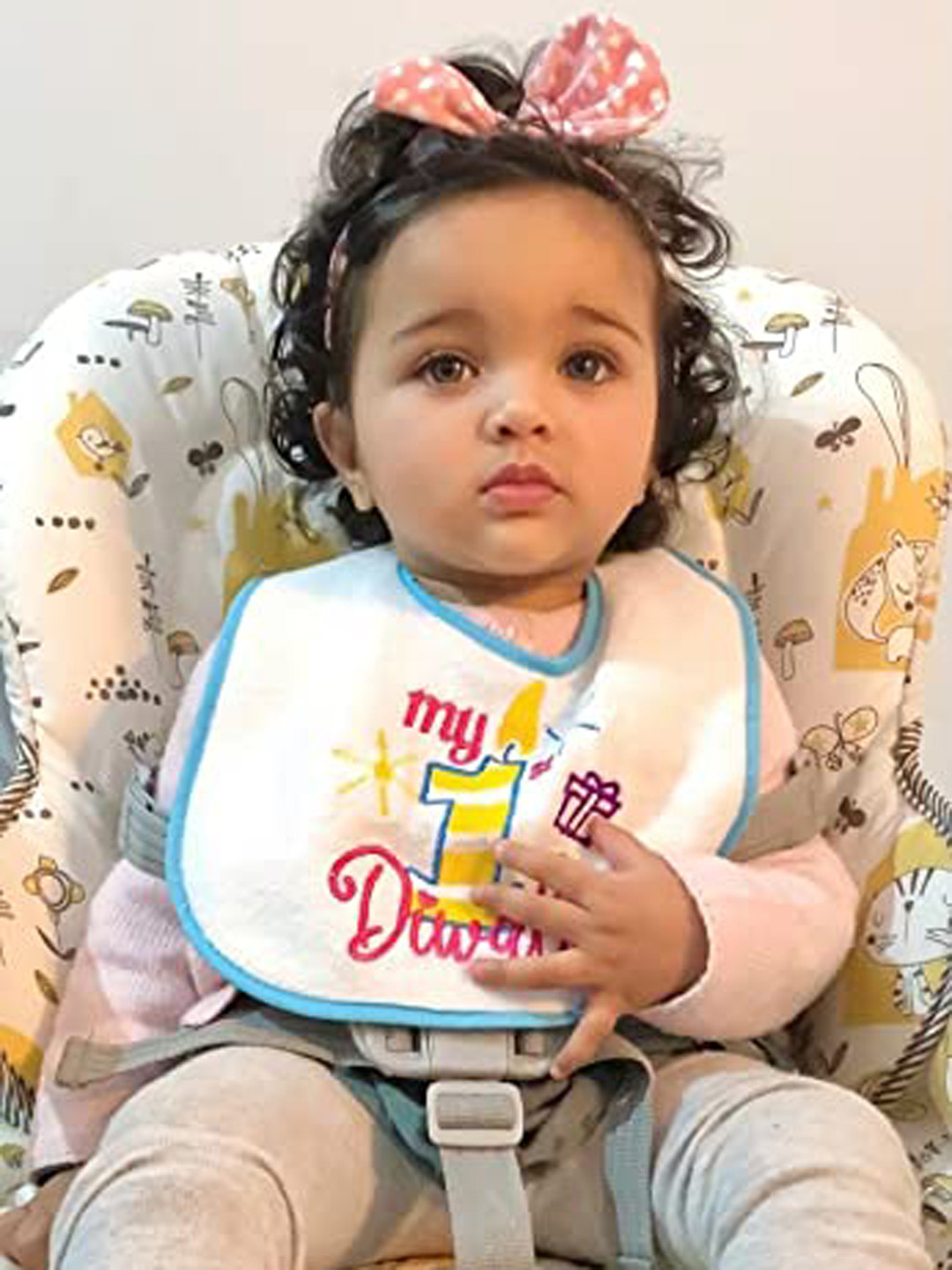 Butterthief Kids Set Of 5 Multicoloured Bibs