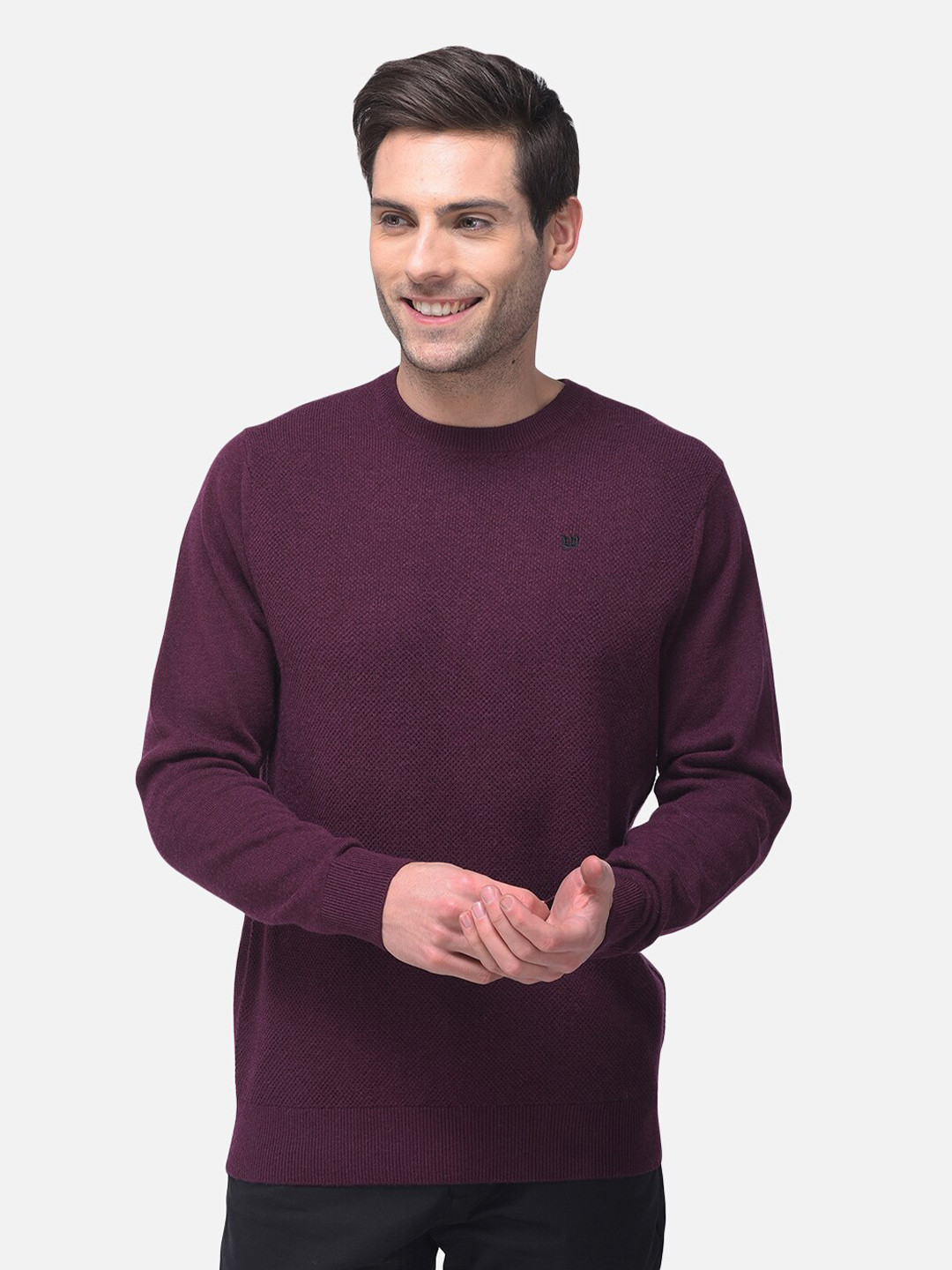 Woods Men Purple Pullover