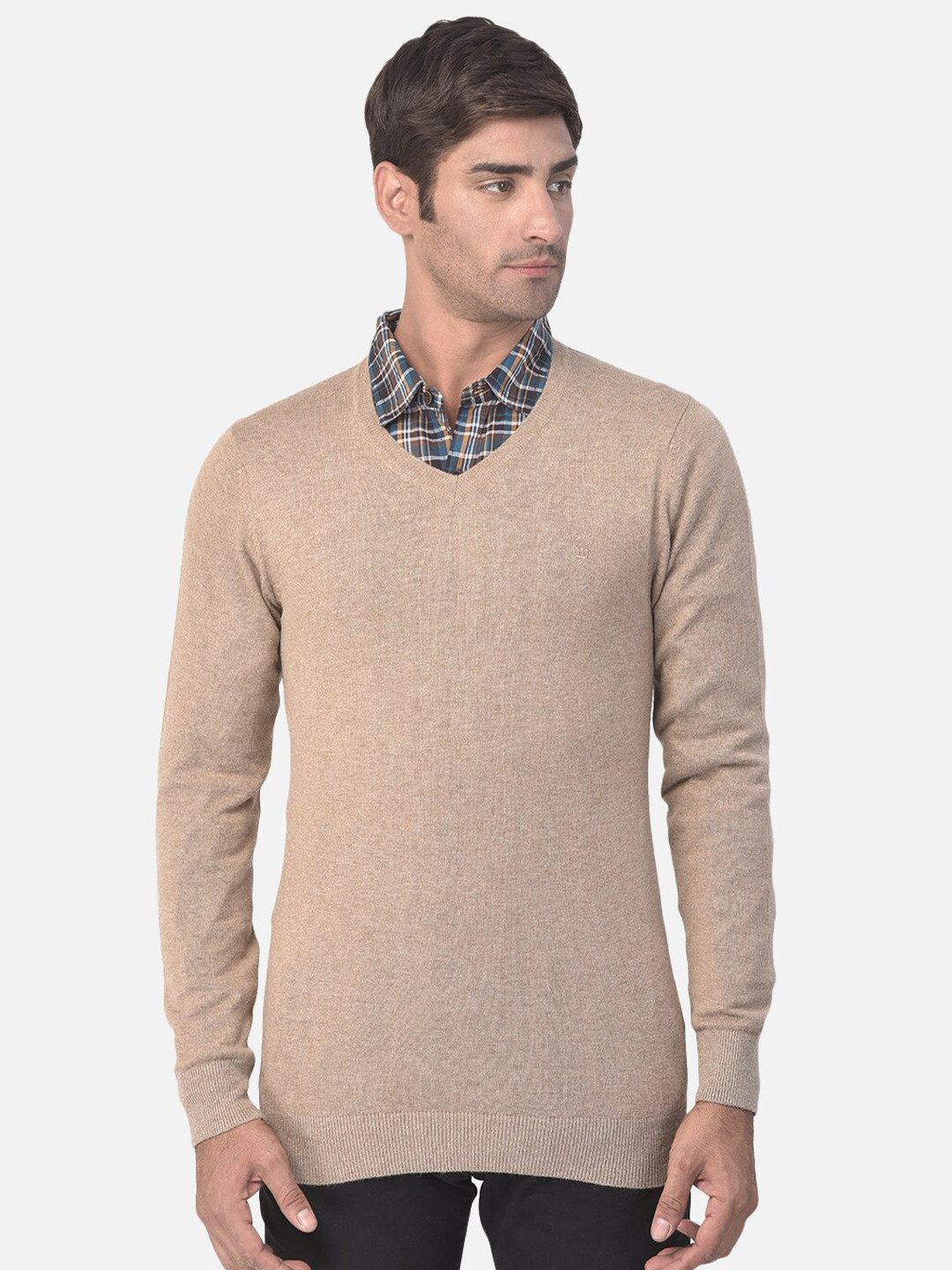 Woods Men Beige Solid Woollen Pullover Sweater