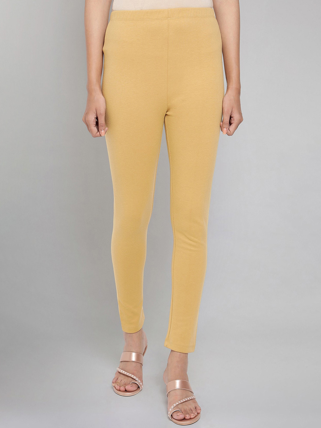 Aurelia Women Beige Solid Winter Tights