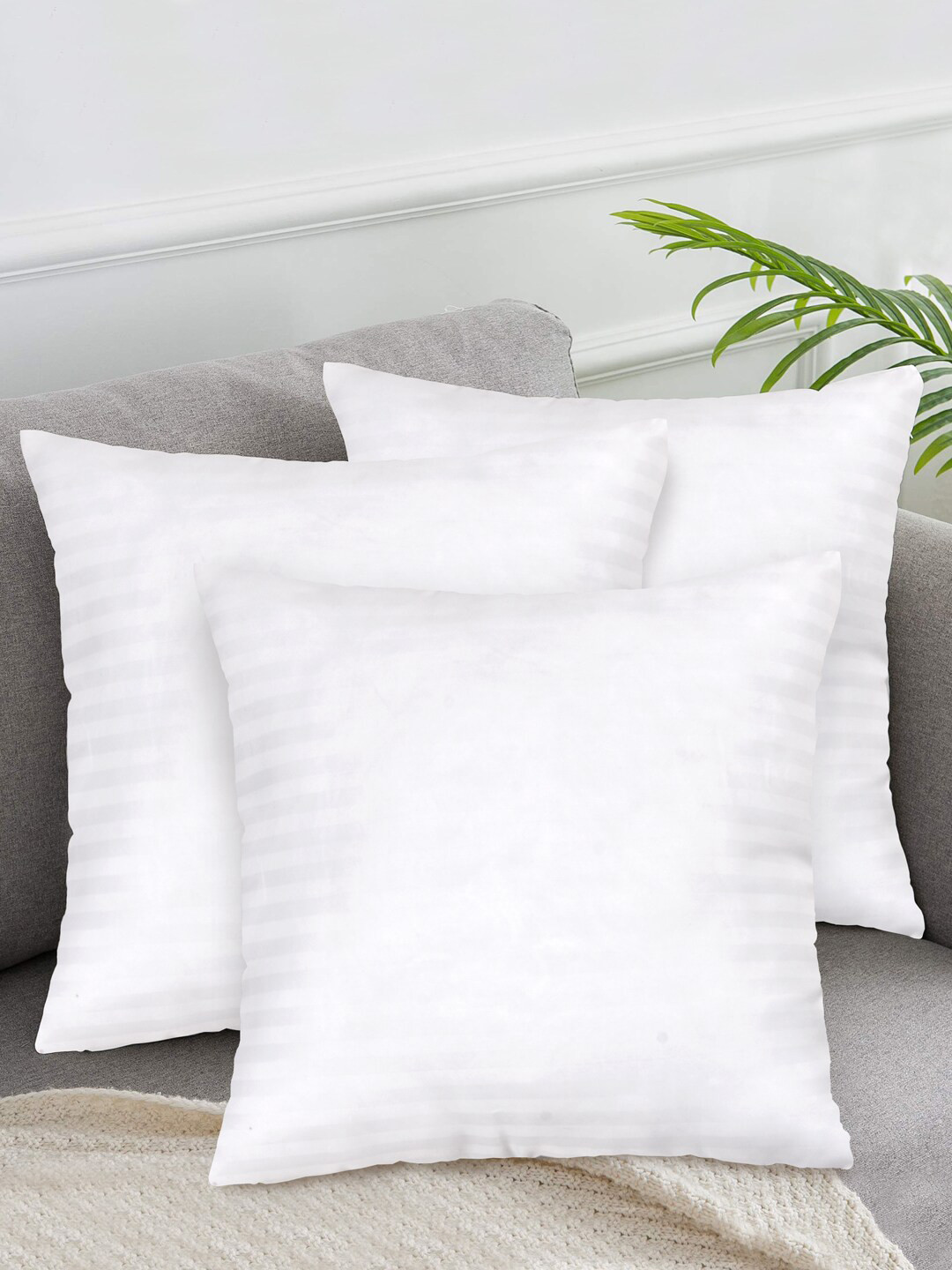 Clasiko Set Of 3 White Solid Square Cushion Fillers