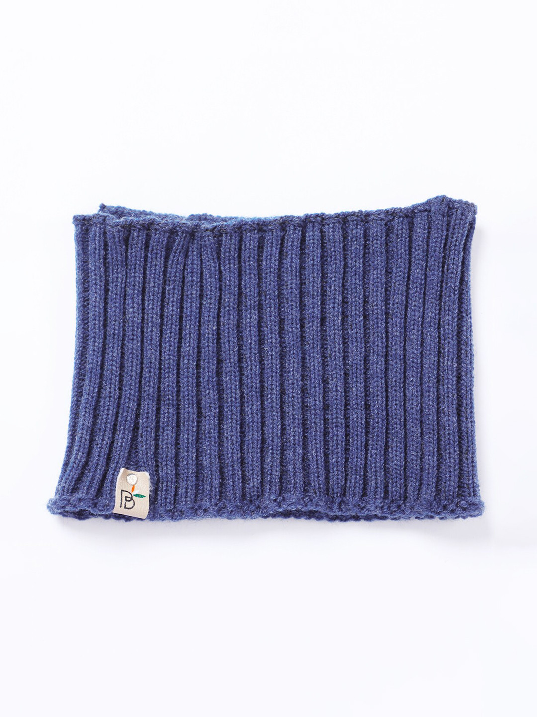 Bharatasya Men Blue Self Design knitted Ski Headband