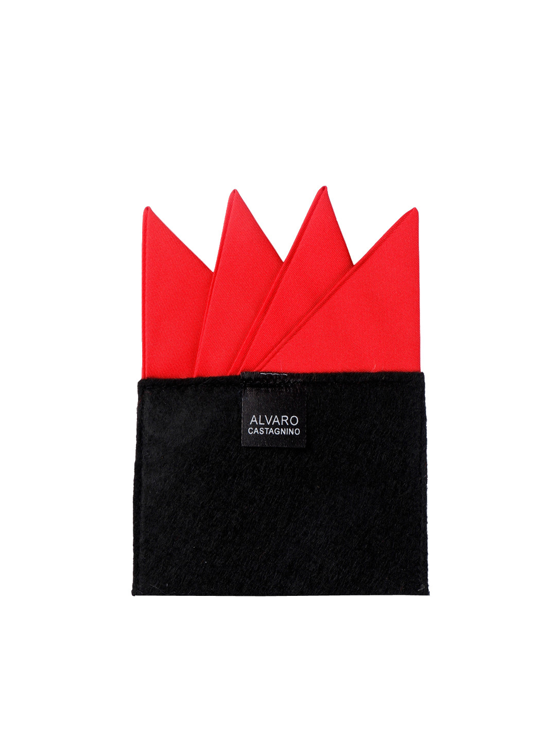 Alvaro Castagnino Men Red Pocket Square
