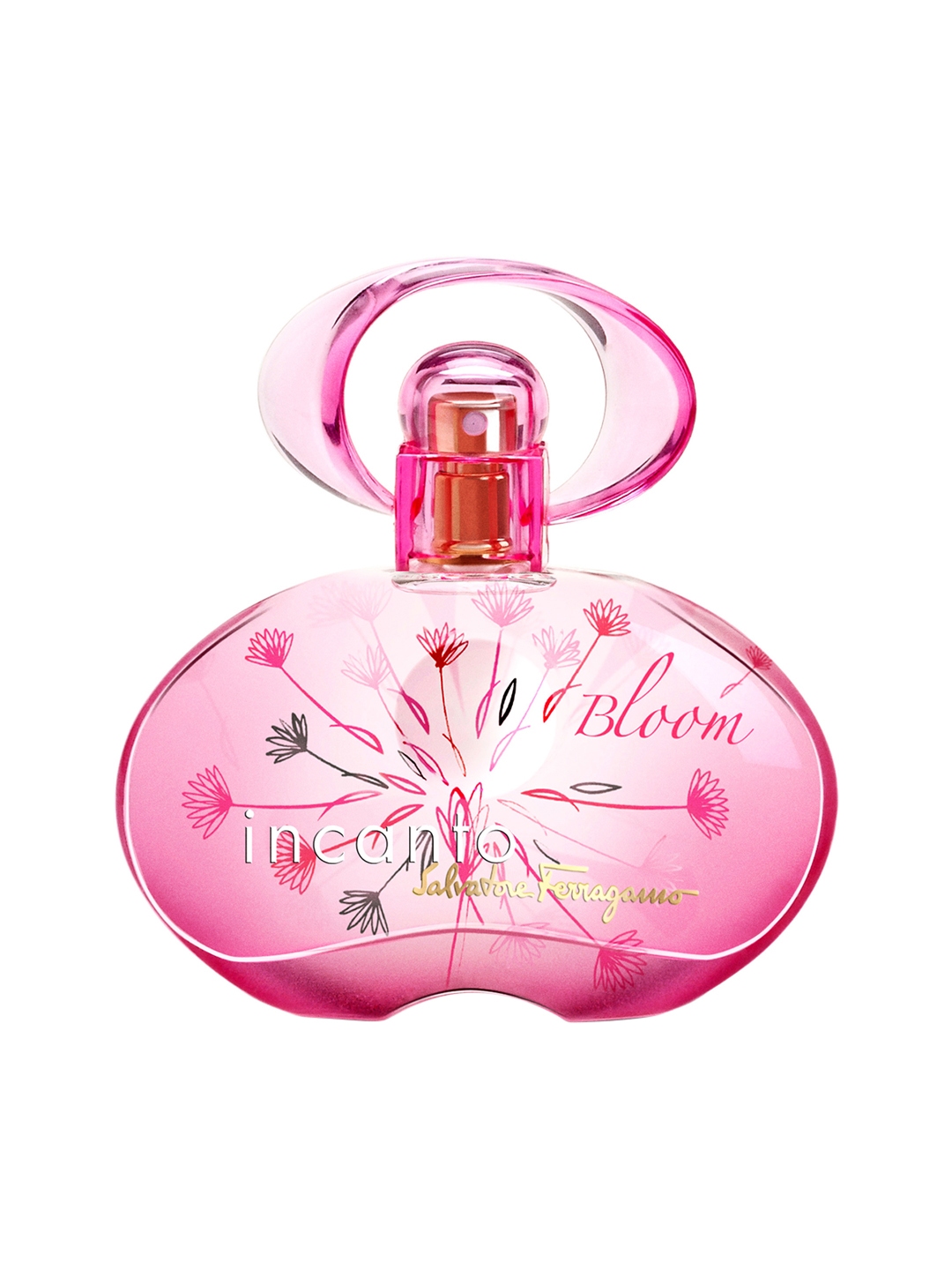 Incanto perfume hot sale salvatore ferragamo