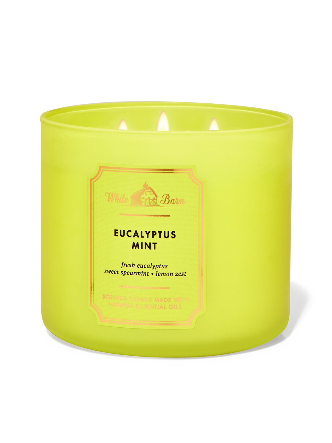 Bath & Body Works 3-Wick Scented Candle with Essential Eucalyptus Eucalyptus Mint Jar Candles