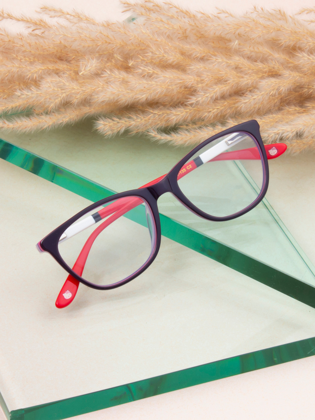 Ted Smith Women Purple & Red Full Rim Square Frames Eyeglasses