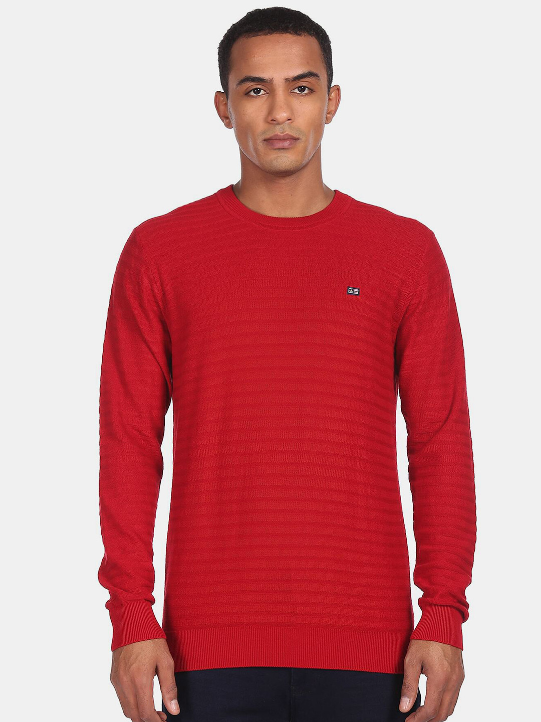 Arrow Sport Men Red Striped Crew Neck Pullover