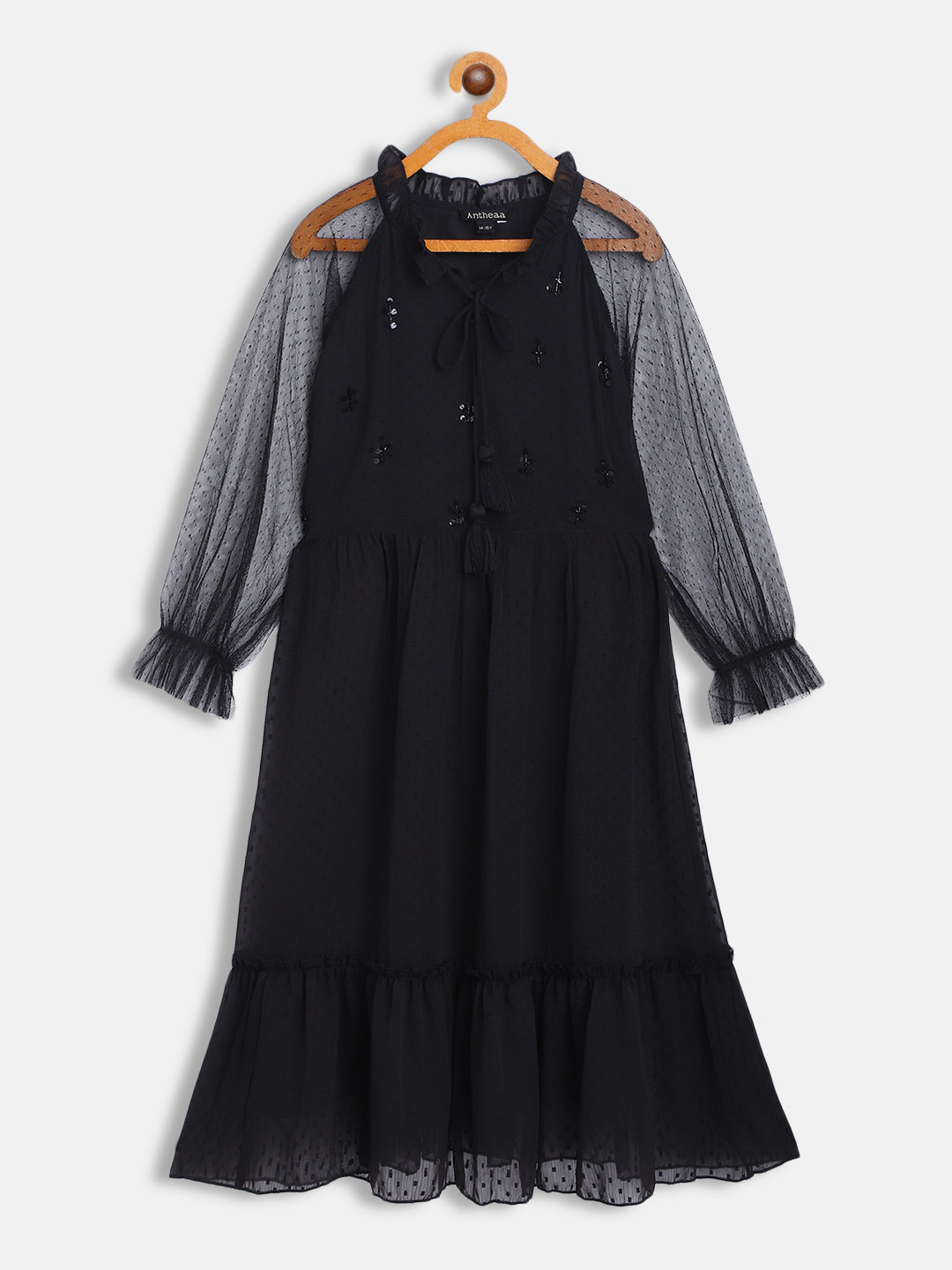 Antheaa Black Embellished Net Dress