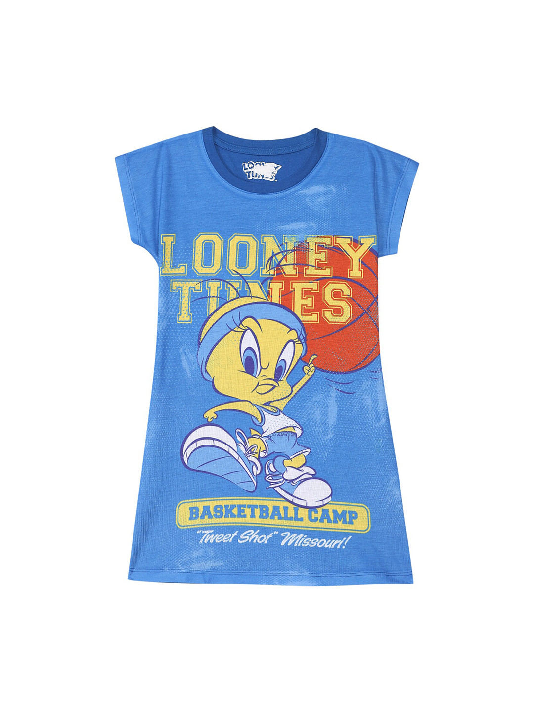 Looney Tunes by Wear Your Mind Girls Blue Looney Tunes A-Line Dress