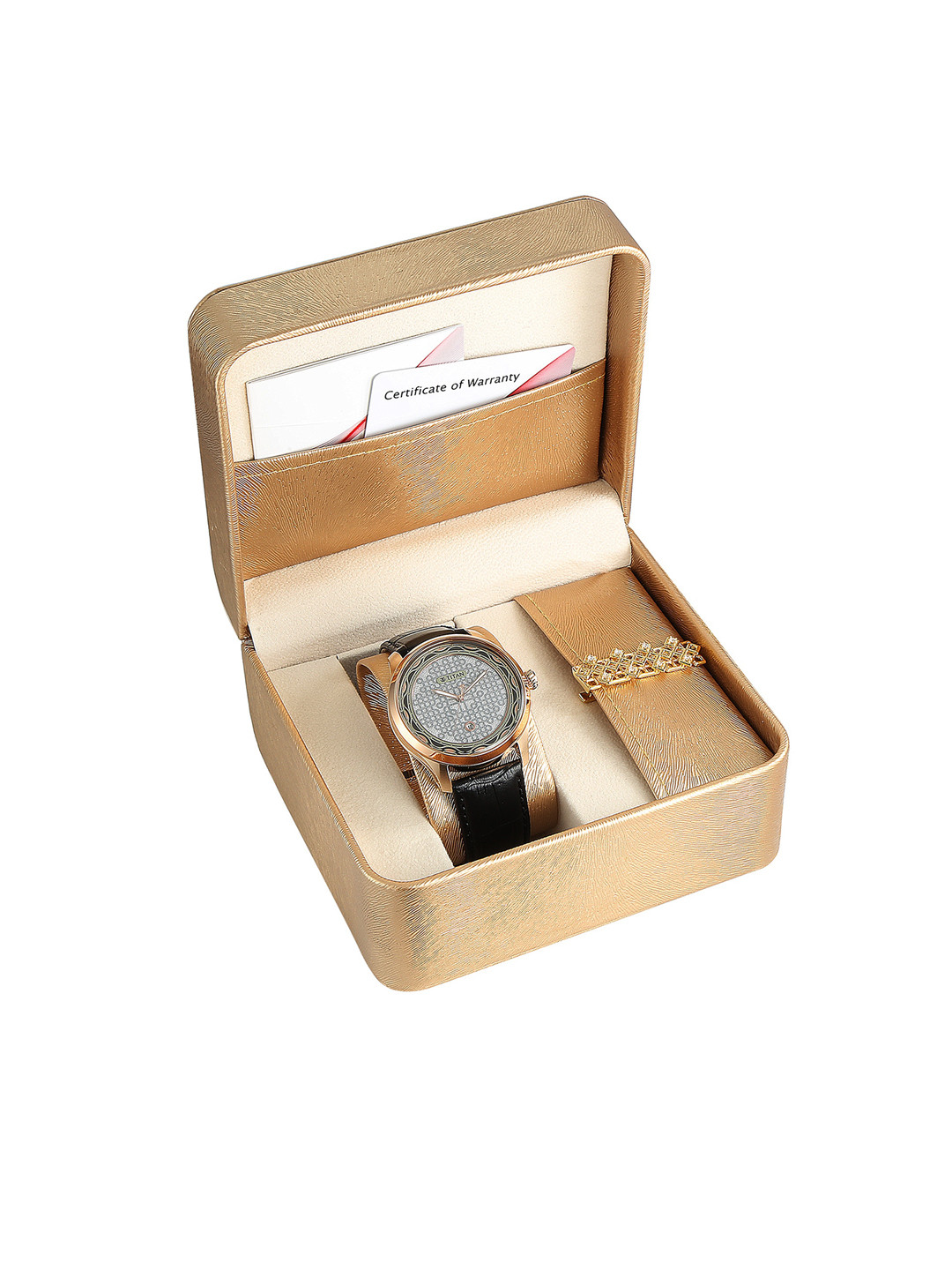 Titan Men Grey Dial & Black Leather Straps Analogue Watch 1796KL05F