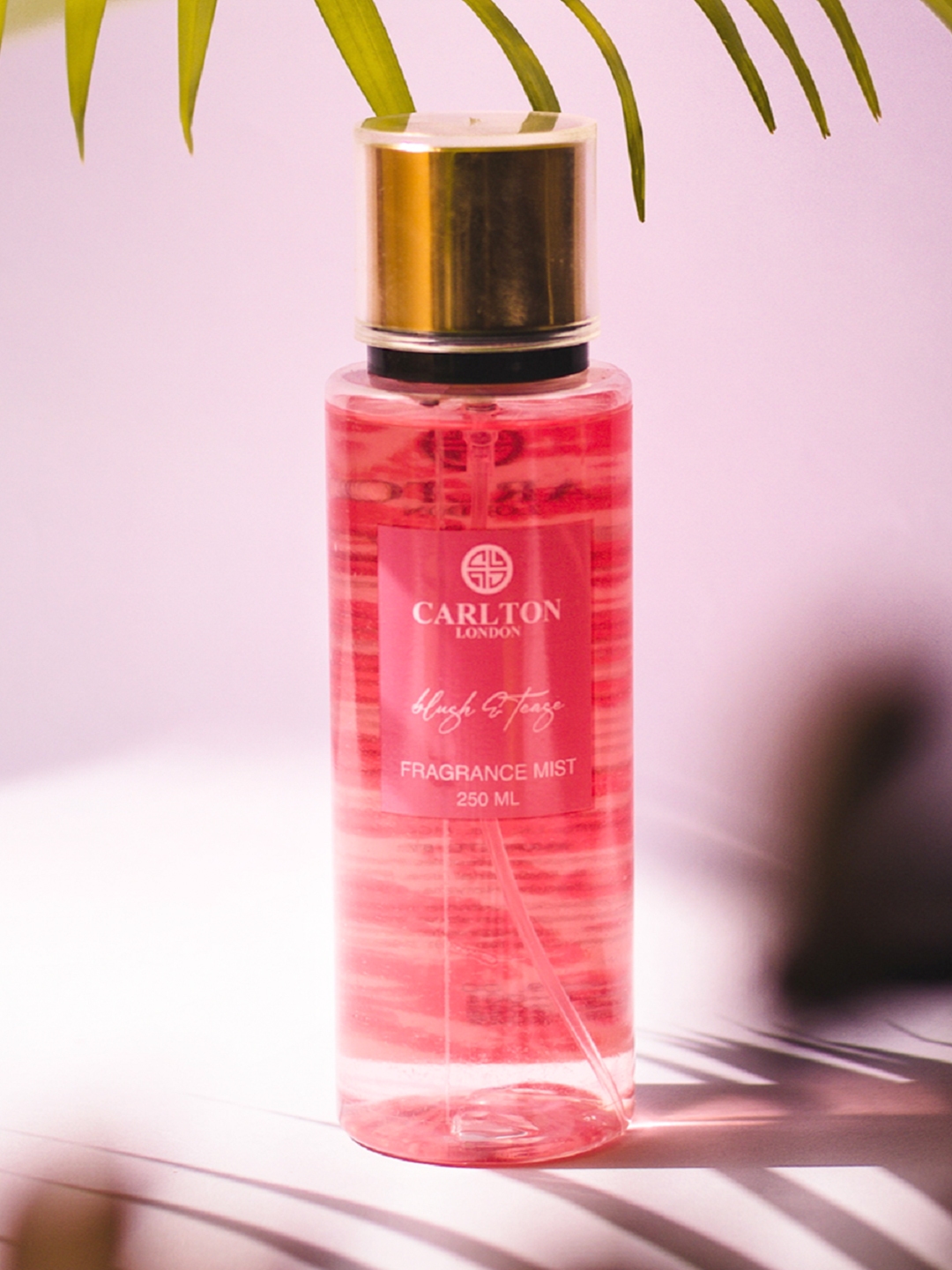 Buy Carlton London Blush & Tease Fragrance Body Mist 250 Ml - Body Mist And  Spray for Women 17213898