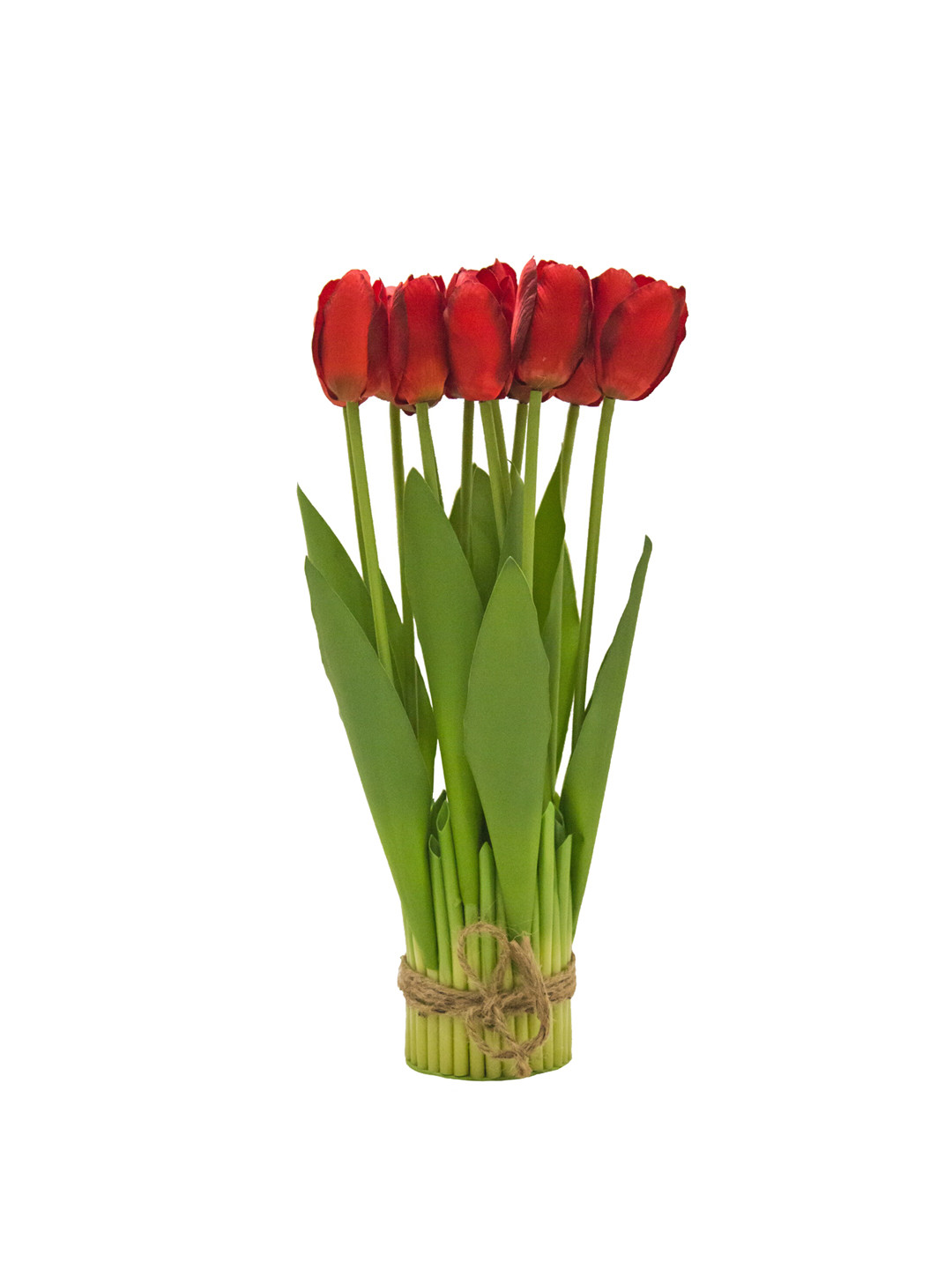 AMFLIX Red & Green Tulip Artificial Flowers & Plants