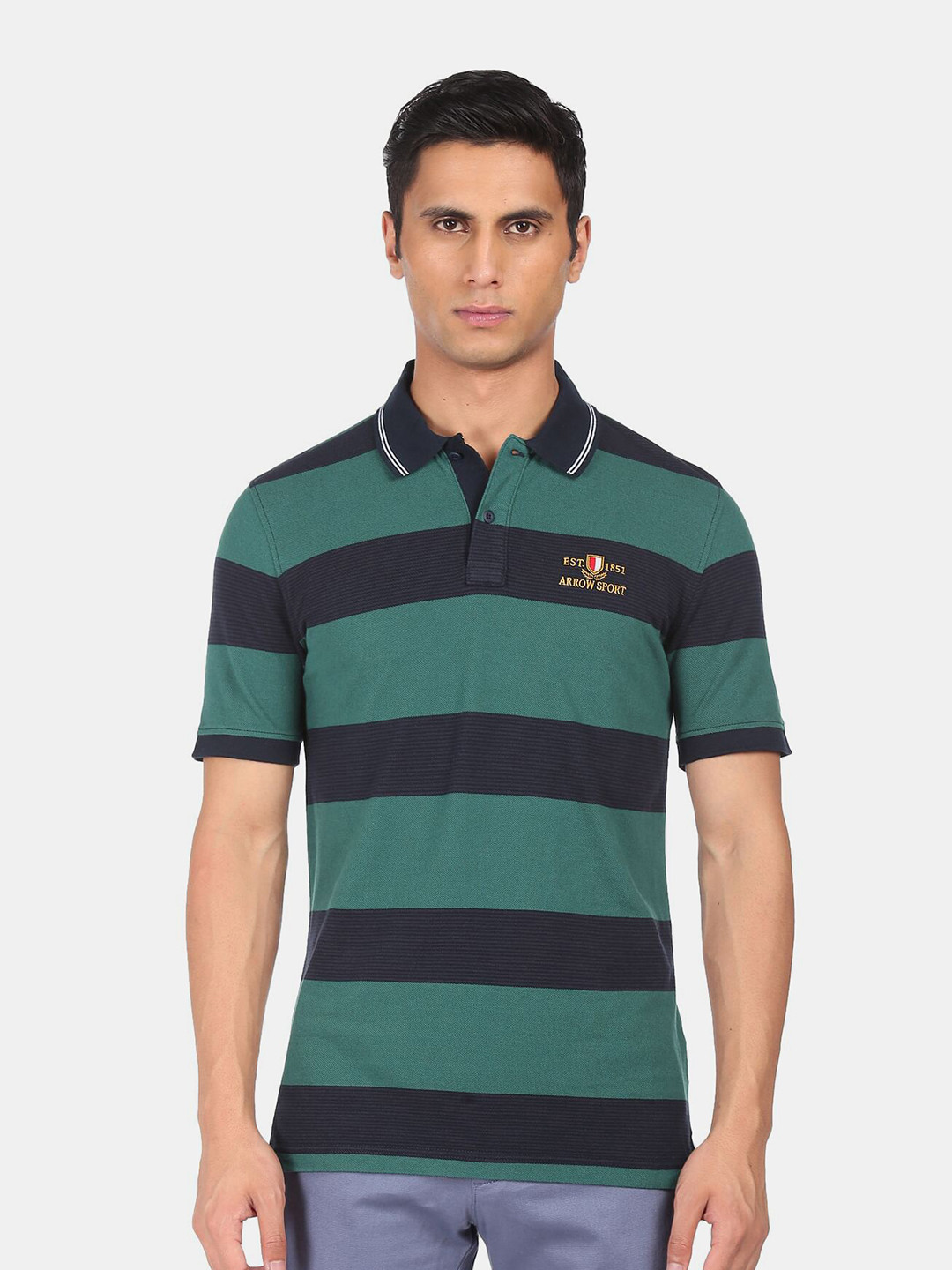 Arrow Men Green Cotton Striped Polo Collar Regular Fit T-shirt