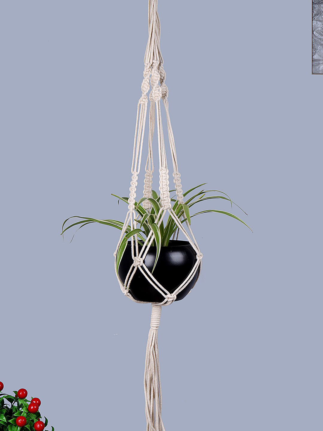 Homesake Black & Off-White Macrame Hanging Planter With Pot