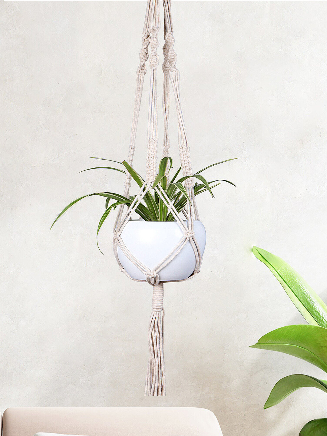 Homesake White & Beige Macrame Plant Hanger With Pot