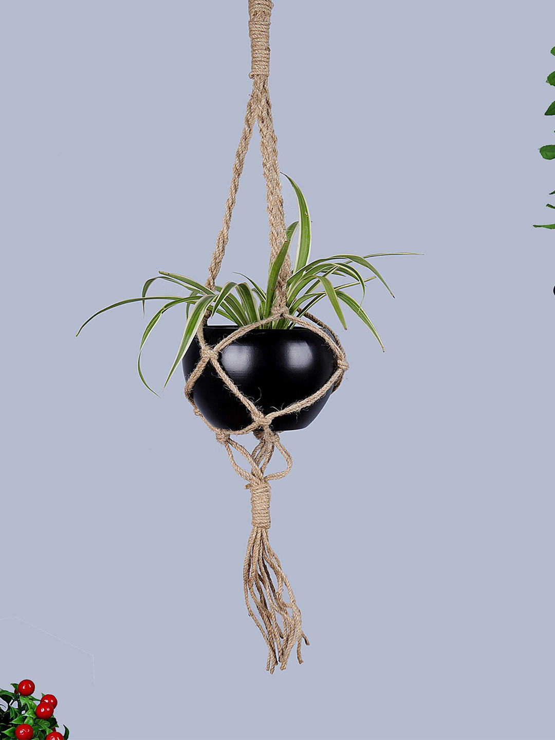 Homesake Hanging Macrame Jute Planter with Black Pot