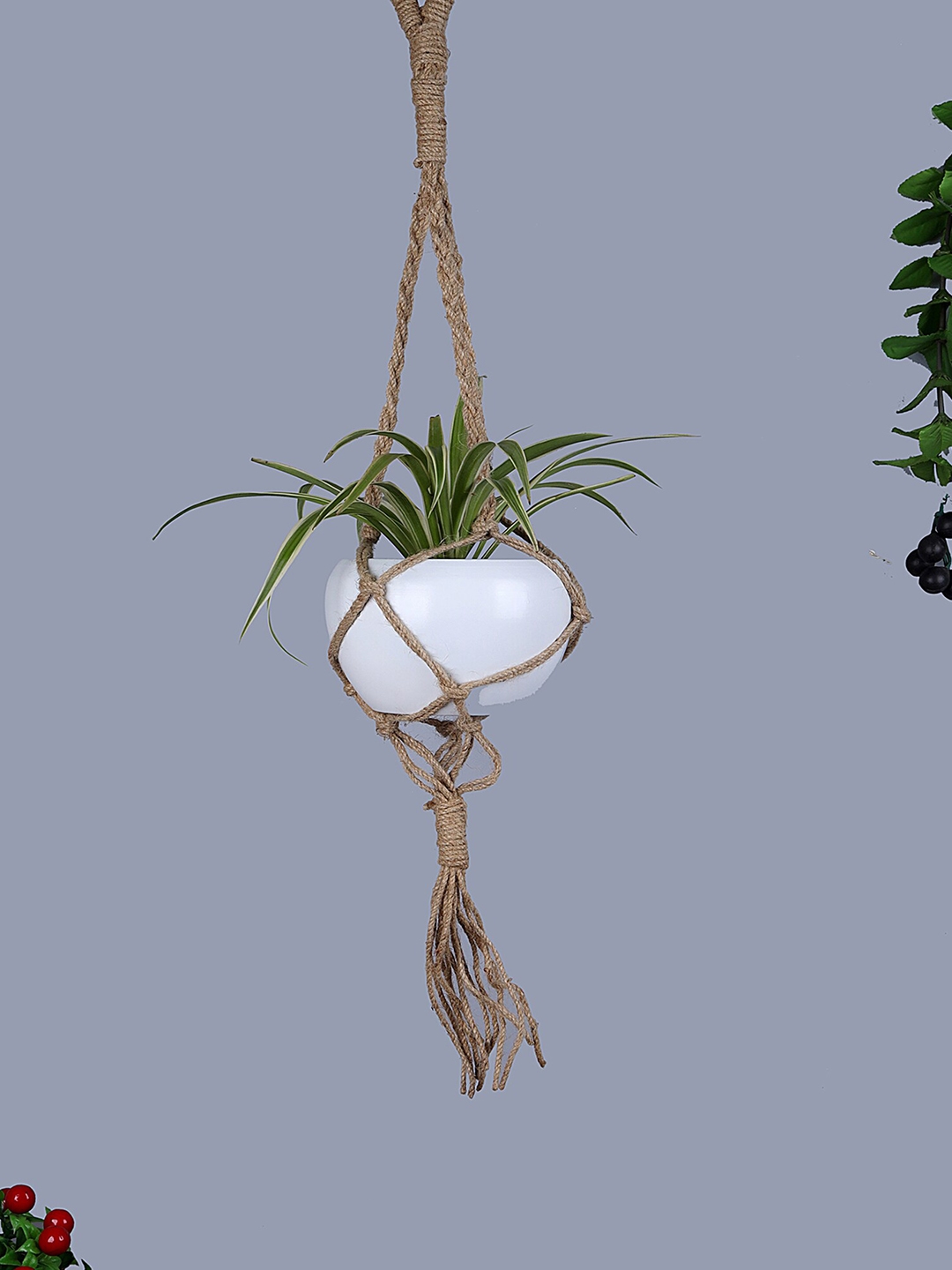 Homesake White & Brown Macrame Hanging Planter With Pot