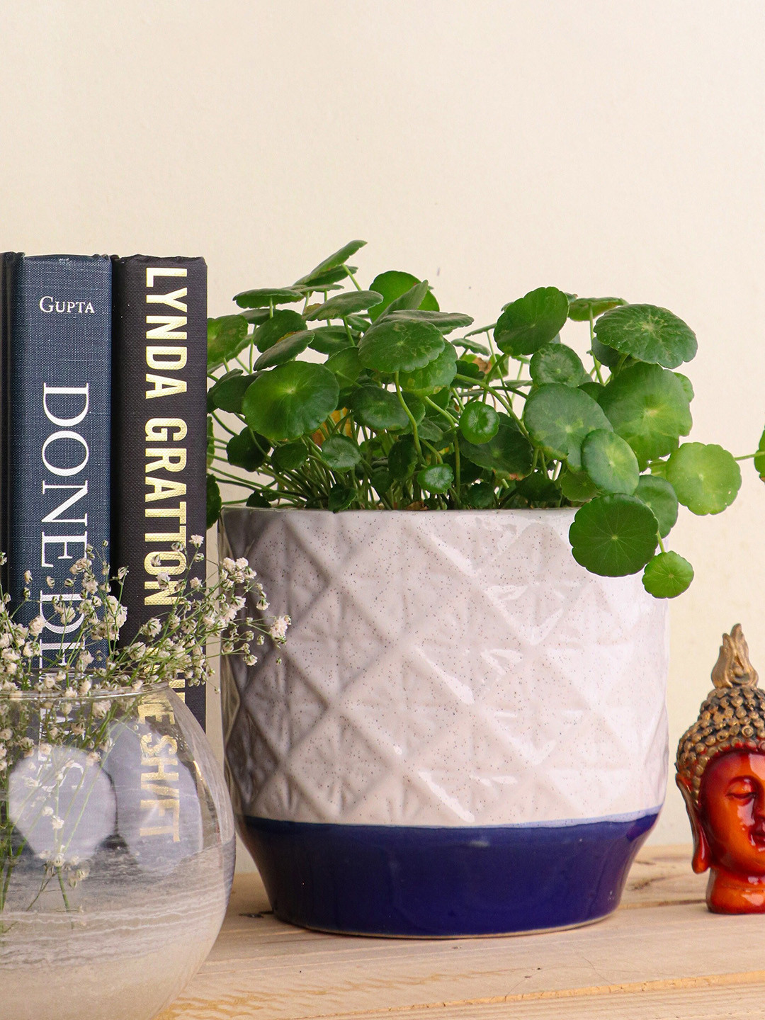 Folkstorys Blue & White Stripe Hexagonal Planters