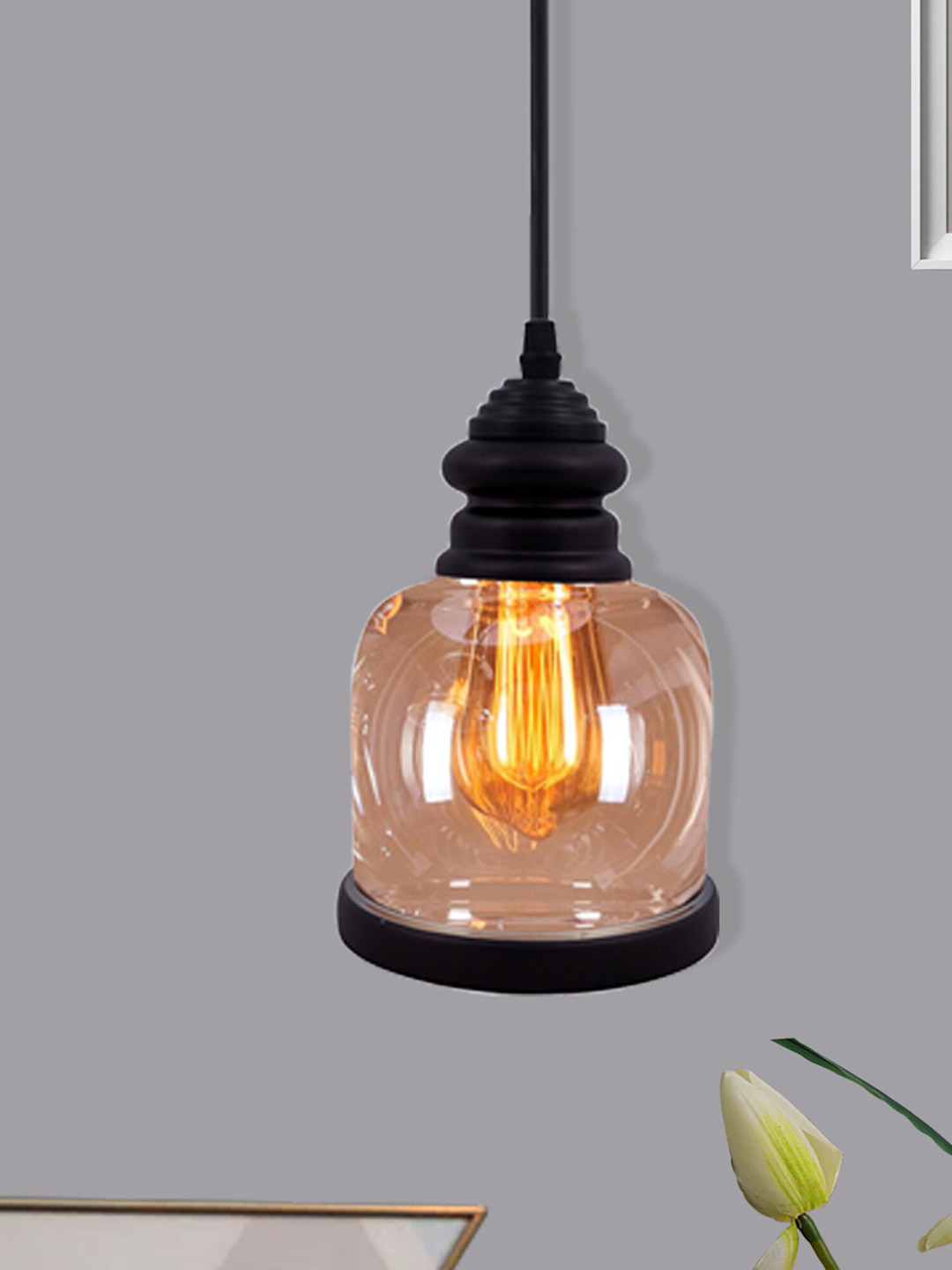 Homesake Black Adjustable Hanging Lighting With Amber Glass Jar Shade