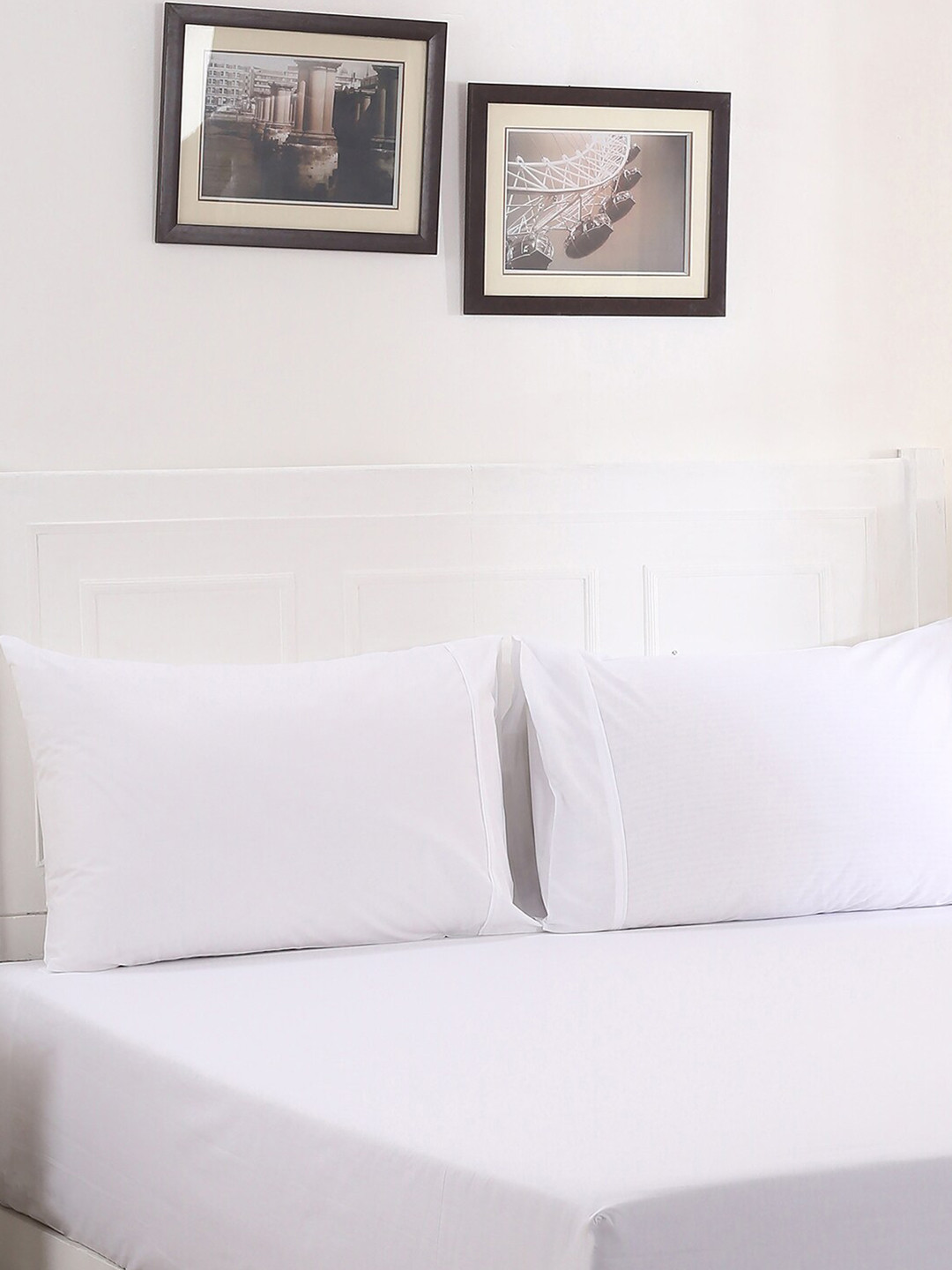 MASPAR Colorart Slumber White Cotton 200 TC Fitted Queen Fine Bedsheet with 2 Pillow Covers-108 x 88 inches