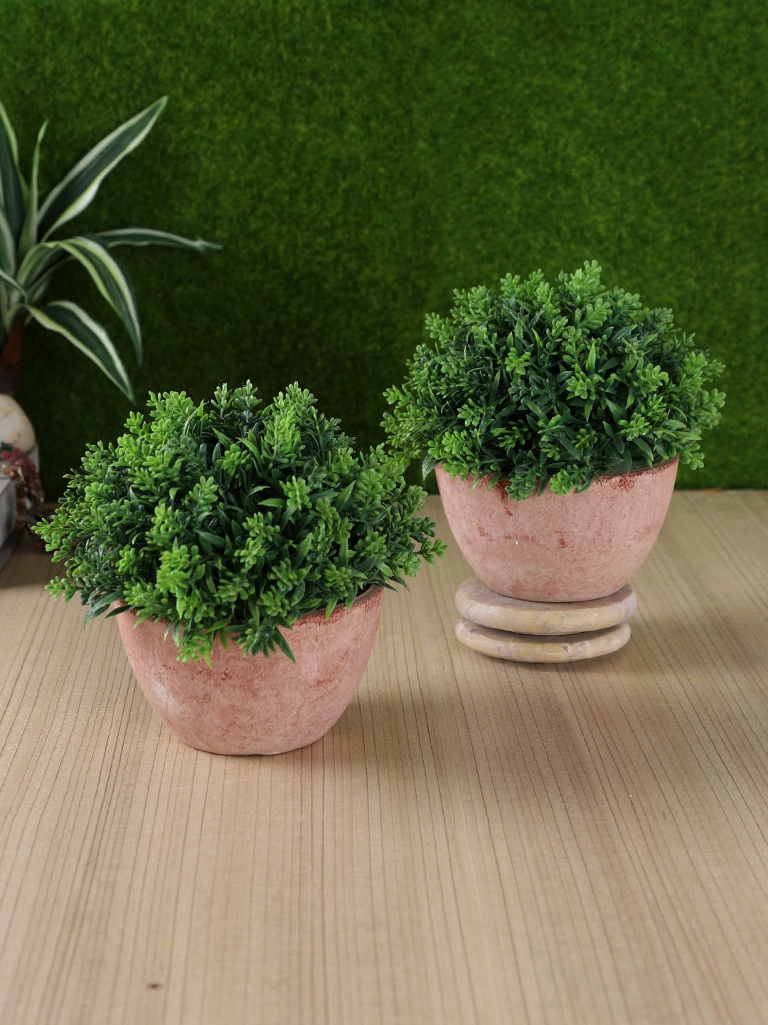 TAYHAA Set of 2 Brown & Green Artificial Plant With Pot