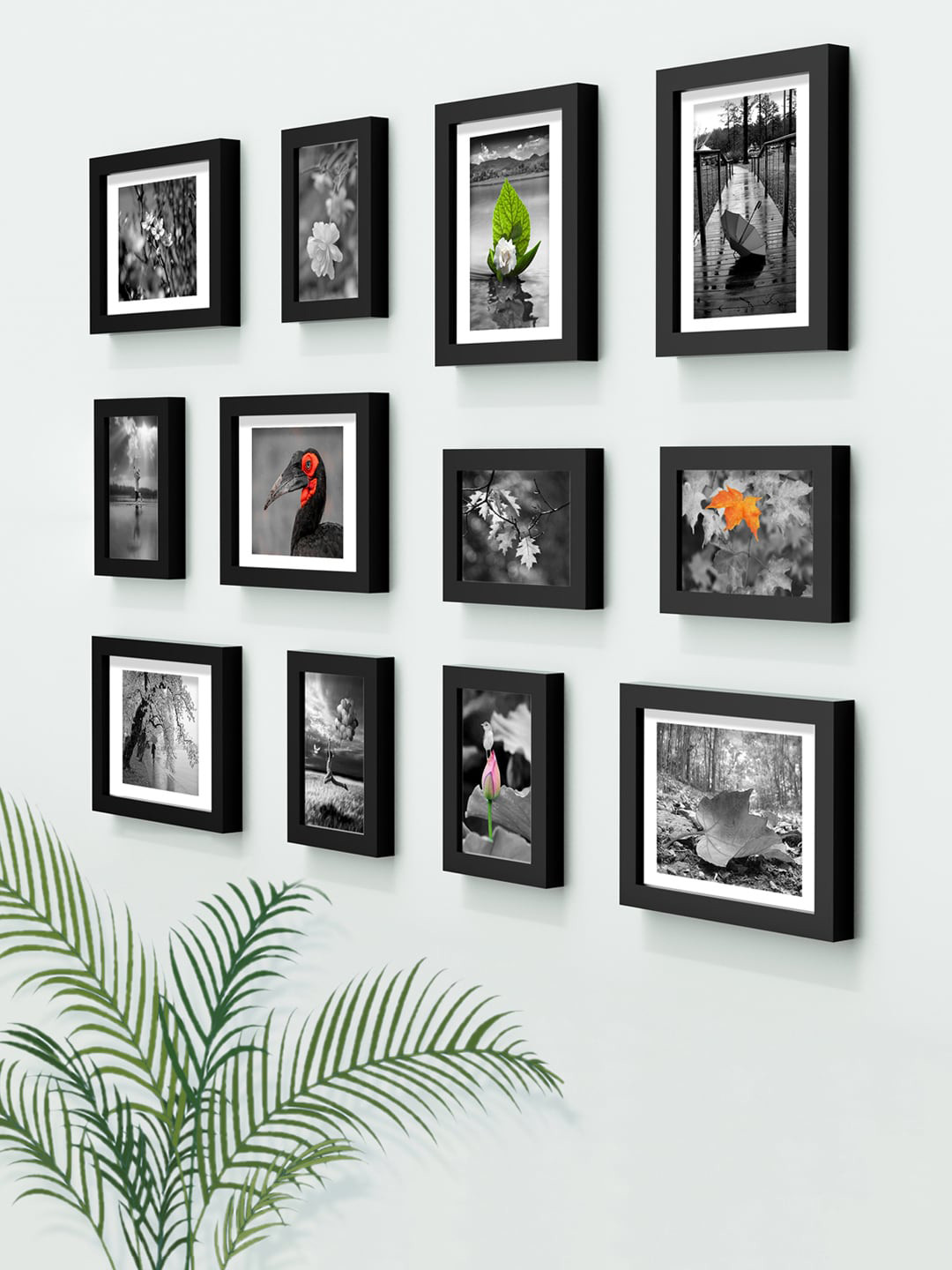 RANDOM Set Of 12 Black Collage Photo Frames