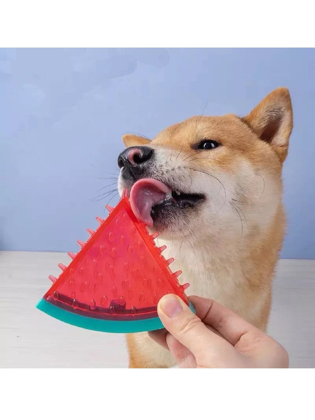 PAWCHIE Red & Green Freezable Teether Cooling Chew Pet Toys