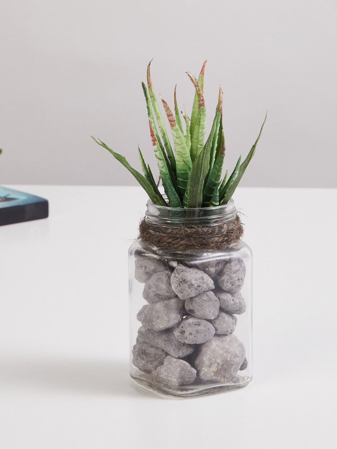 Home Centre Transparent & Green Corsica Eden Green Artificial Succulent Glass Jar