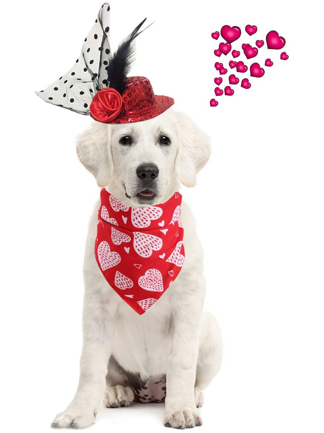 PAWCHIE Pink & White Printed Reversible Dog Bandana Scarf